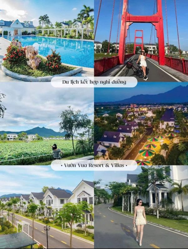 Công Ty TNHH Vận Tải Và Du Lịch Công Hiền